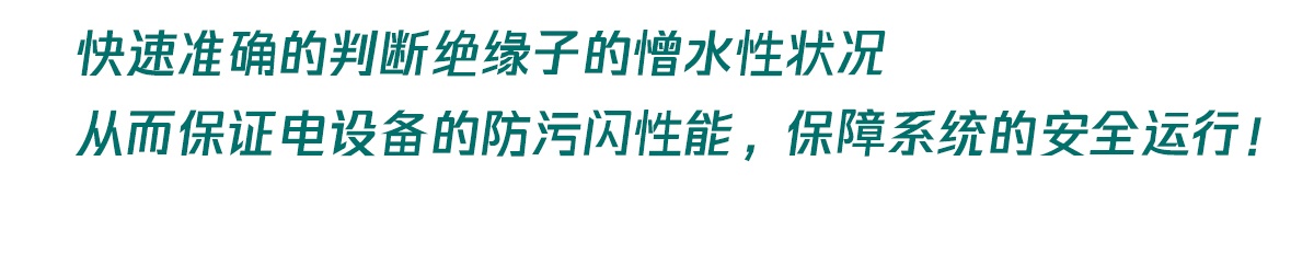 國(guó)電西高