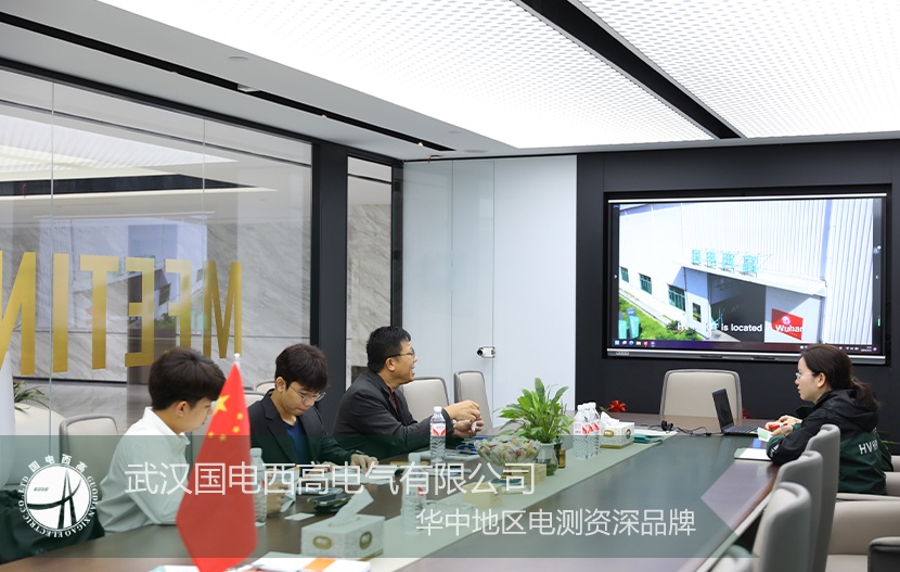 再次來(lái)訪，攜手合作！泰菲客戶齊聚國(guó)電西高