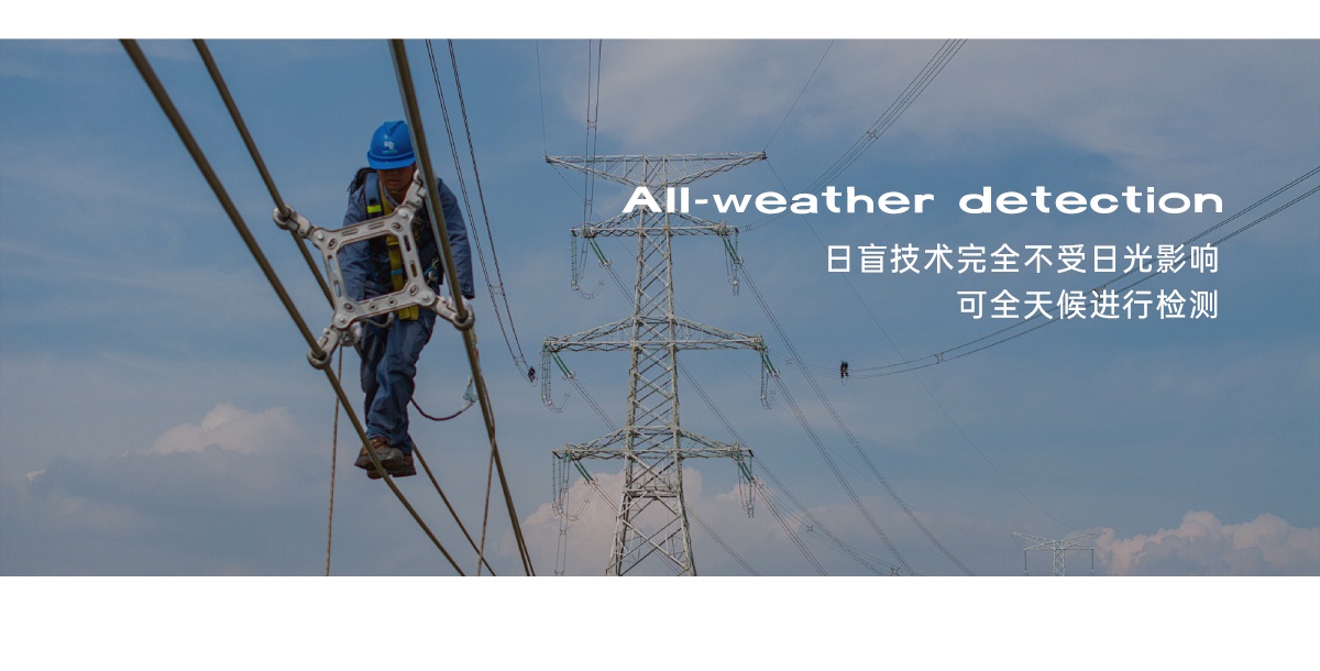 國電西高