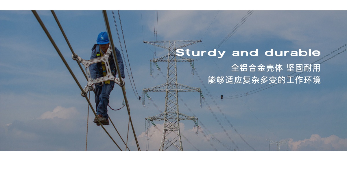 國電西高